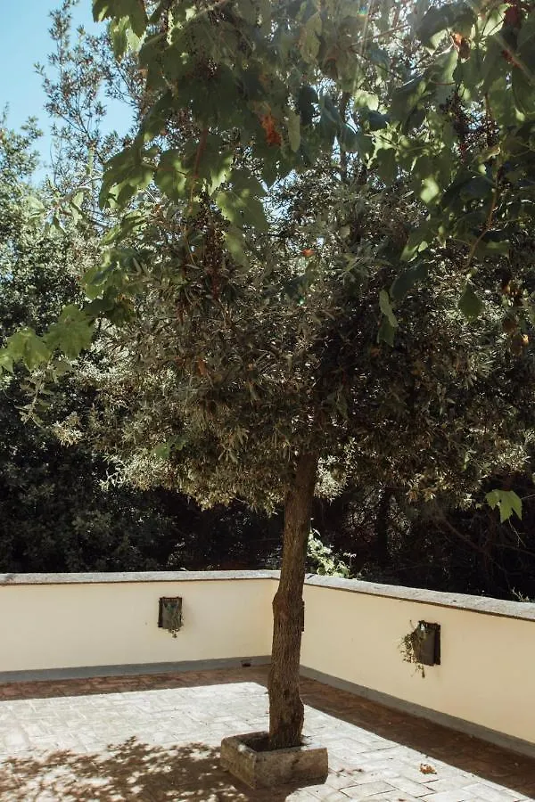 Le Petit Chateau Vezzi Portio