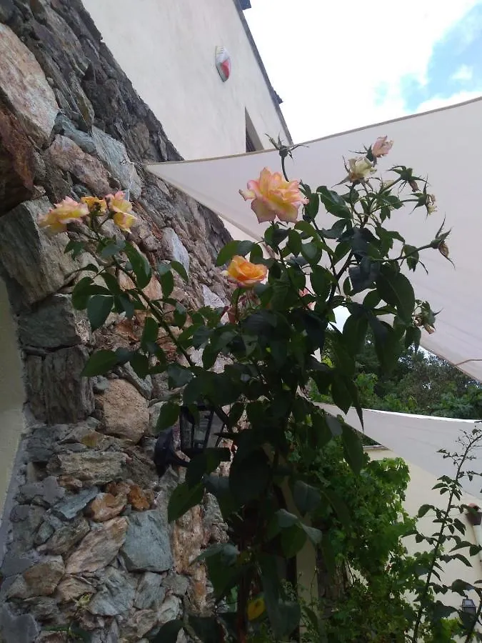 Farm stay Le Petit Chateau Vezzi Portio