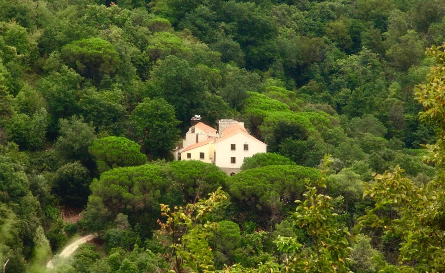 Le Petit Chateau Vezzi Portio Farm stay